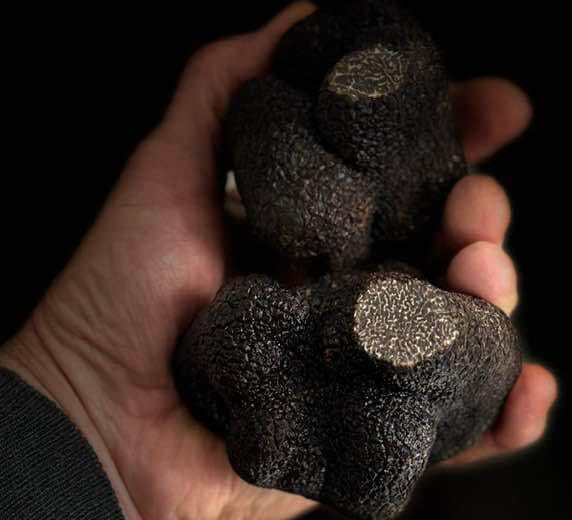 Les amis de la Truffe du Roy